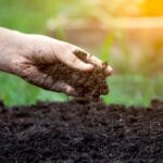 Soil Health Field Day in Macomb June 13th