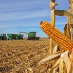 Being Proactive in the Corn Market Using Ethanol Markets
