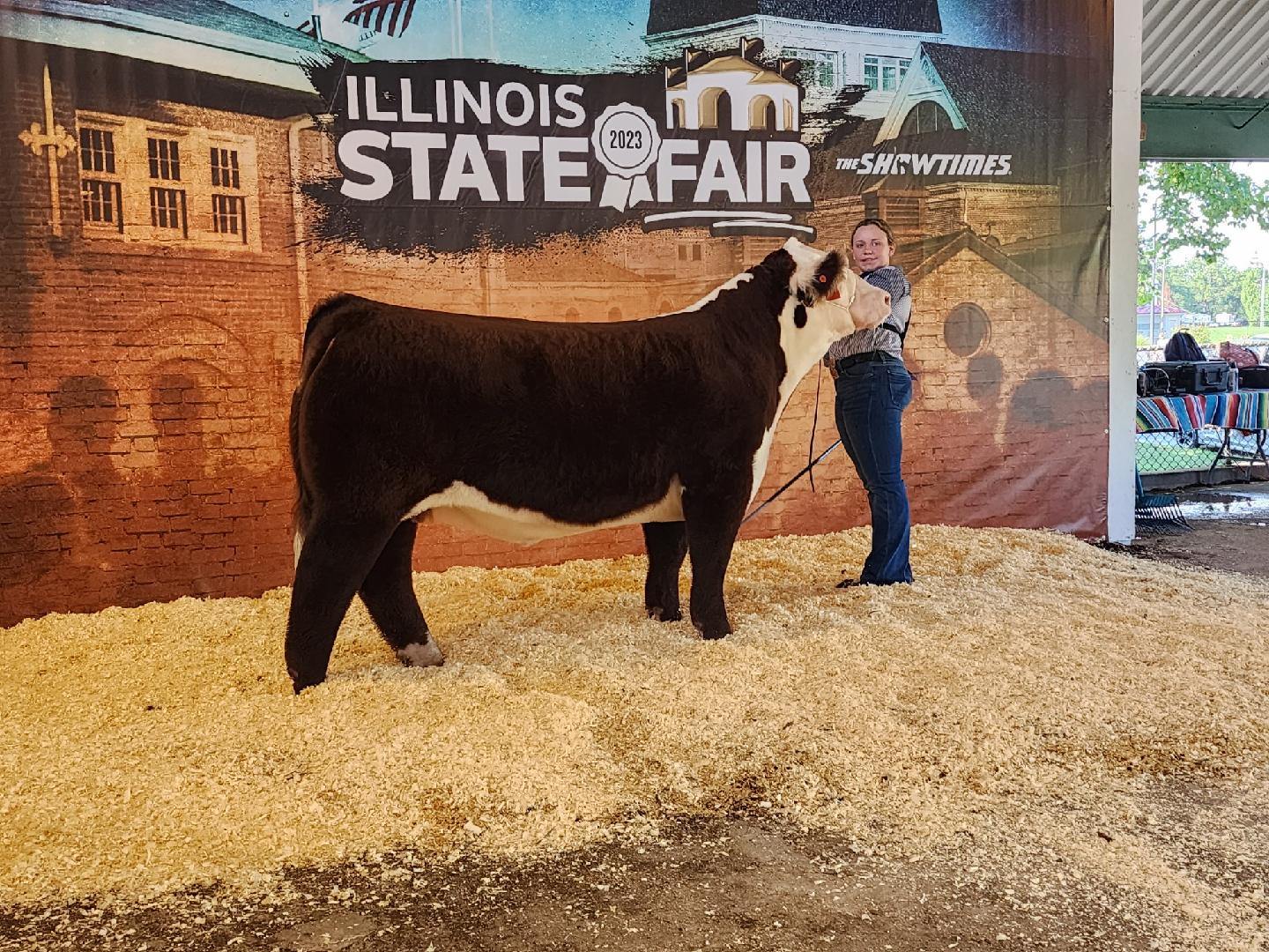 Maci Brooks Wins Reserve Grand Champion Land of Lincoln Steer at the Illinois State Fair Prairie Communications, picture photo