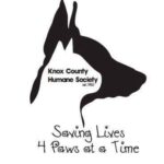Forever Starts Now! Adopt a Pet Today