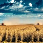 Is Your Farm Operation’s Carbon Intensity Score Tax Credit Eligible?