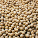 Soybean Markets Face Consequences Of International Discrepancy