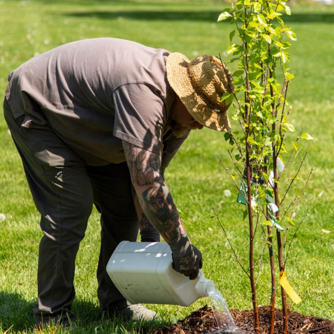 WIU Celebrates Arbor Day 2024 with Tree Planting Event Prairie