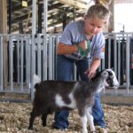 2024 Warren County Agricultural Fair Reports