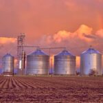 Grain Markets Recovering and Erratic coming out of Harvest