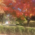 Ready for Fall? Autumn Officially Begins Tuesday Evening