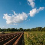 USDA Appoints 27 New Members for Task Force on Agricultural Air Quality Research