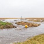 Explore Integrated Water Management with Illinois Extension Workshop