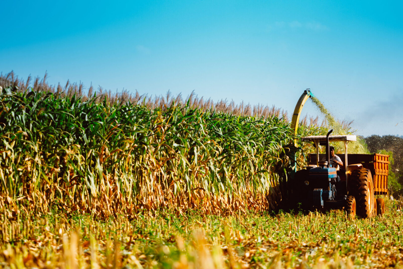 Corn Brazil China Continues to Invest in Brazillian Agriculture | Prairie ...