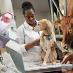 Local Teens Explore Careers in the Veterinary Field