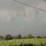 Another big year for tornadoes in Illinois