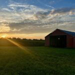 Farmers Urged to Consider Multiple Scenarios When Building Cash Budgets