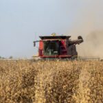 Wet and Dry Weather in the Forecast This Harvest Season