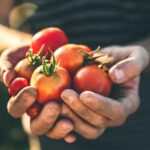 Illinois Farm Bureau Directory Connects Shoppers to Local Farms and Gifts