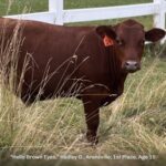 2026 Cream of the Crop Photography Contest Winners Announced