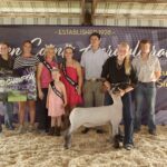 Warren County Fair Junior Sheep Show Results