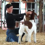 Henderson County 4-H and Jr. Goat Show