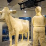 2026 Illinois State Fair Butter Cow Unveiled