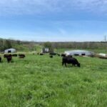 How Many More Hits Can Farmers and Ranchers Take?