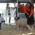 Prime Beef Festival Swine Show Results