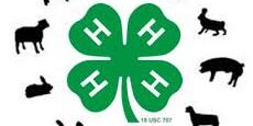 4-H