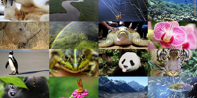 Biodiversity