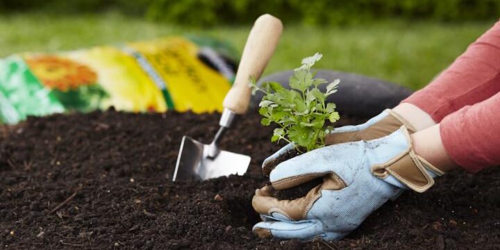 Gardening