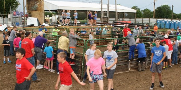 WCCalfTag