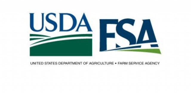 fsa