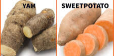 yams vs sweet potatoe